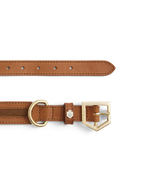 Hampton Dog Collar - Tan Leather and Suede