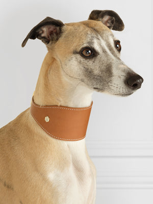 Fig Whippet Dog Collar - Tan