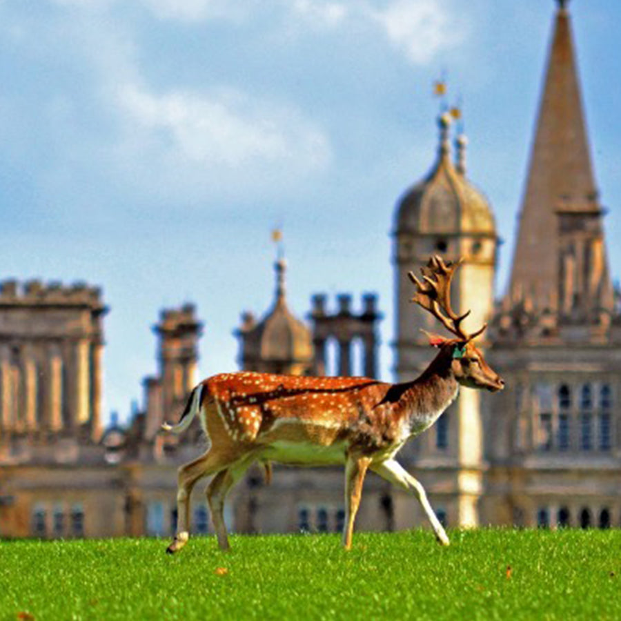 The Ultimate Things to do around Stamford