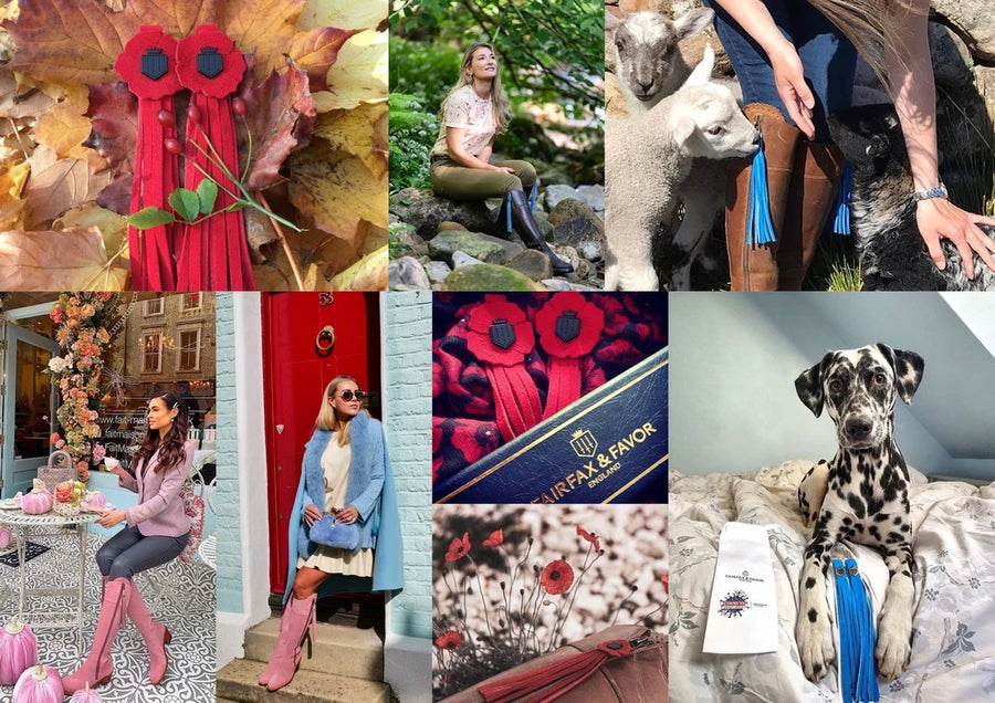 FAIRFAX AND FAVOR’S YEAR OF KINDNESS