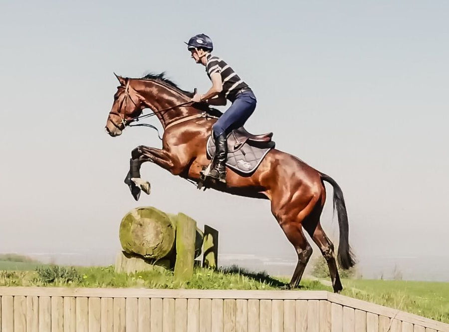 Sir Mark on Rockingham