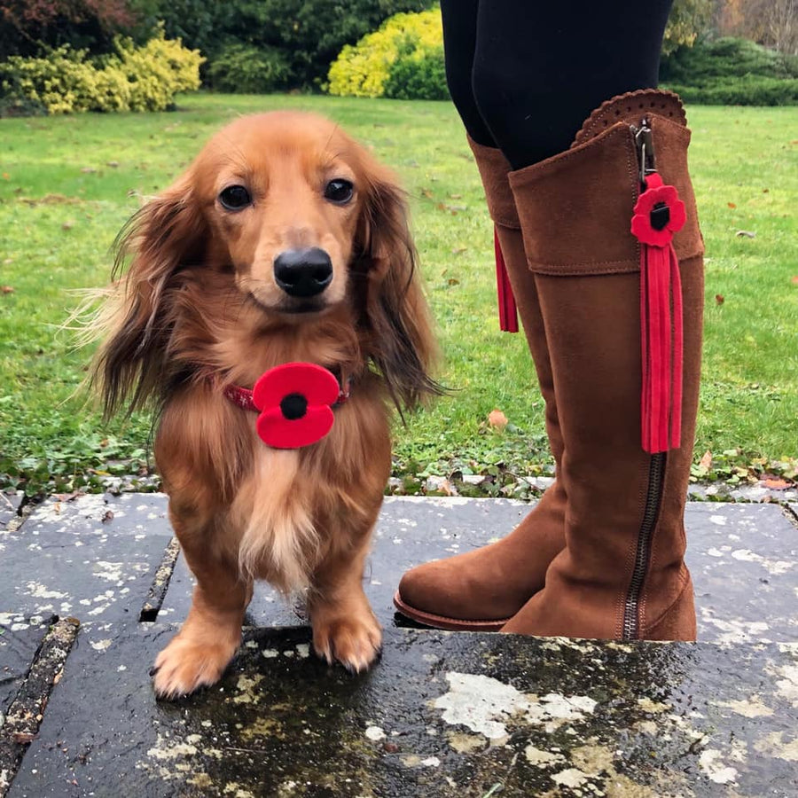 November 2020: Poppy tassels for our British Heroes raised over £37,000