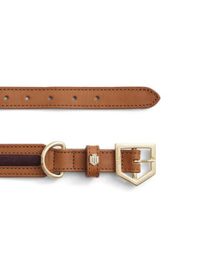 The Hampton - Dog Collar - Tan Leather & Plum Suede