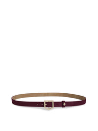 Sennowe - Elderberry