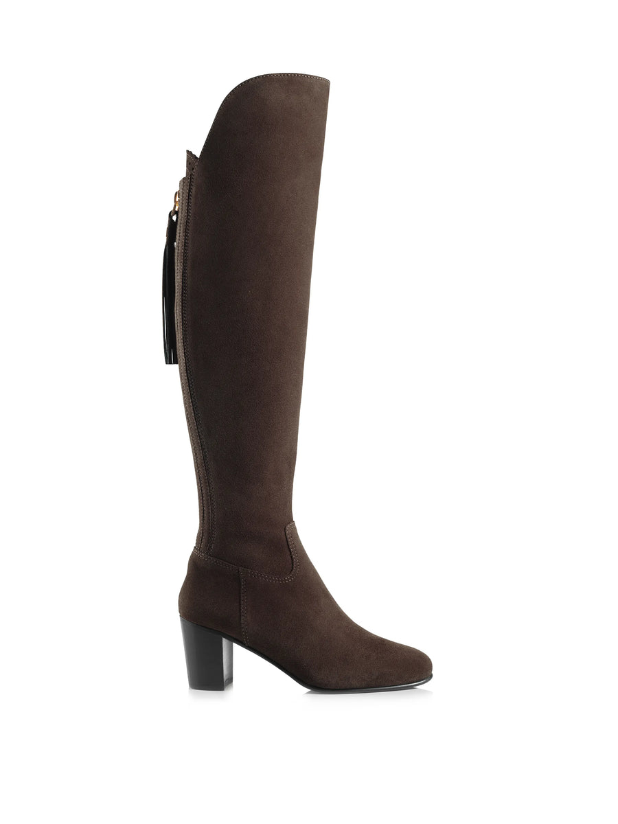 chocolate colour
