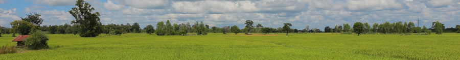 Banner d fe bb bbd adf webp