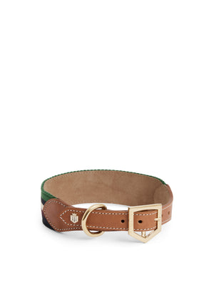 The Boston - Dog Collar - Tan Leather & Striped Webbing