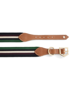 The Boston Dog Collar - Tan Leather &amp; Striped Webbing