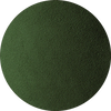 forest green Swatch image