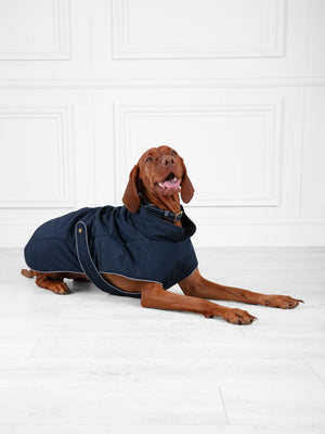Chelsea dog coat clearance
