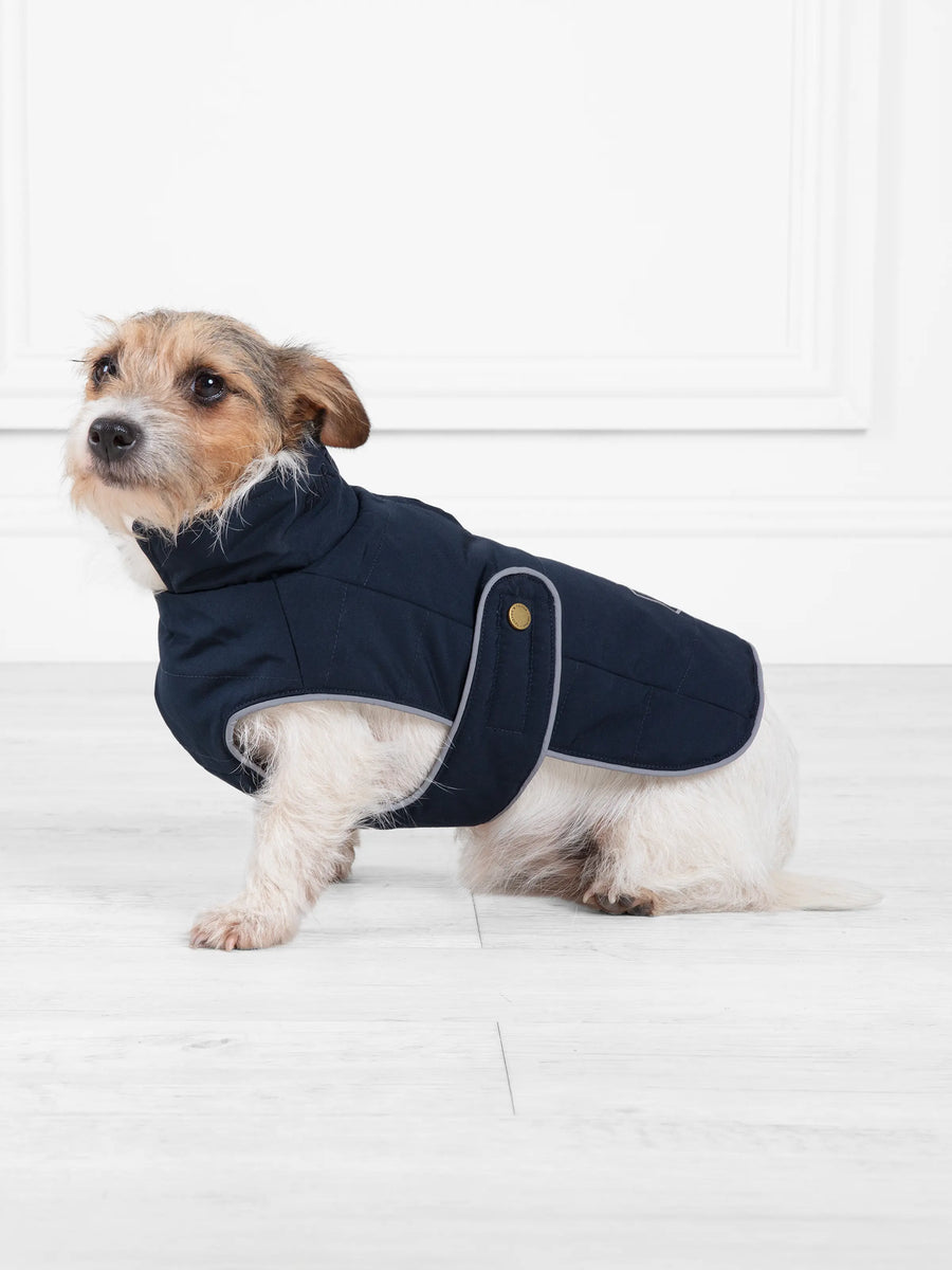 The Charlotte - Dog Coat - Padded Navy Cotton