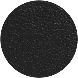 black leather material swatch