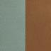 tan & mint