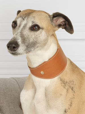 Fig Whippet Dog Collar - Tan