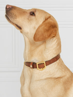 Fitzroy Dog Collar - Tan Leather