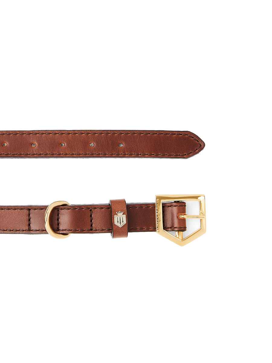 The Fitzroy - Tan Leather Dog Collar